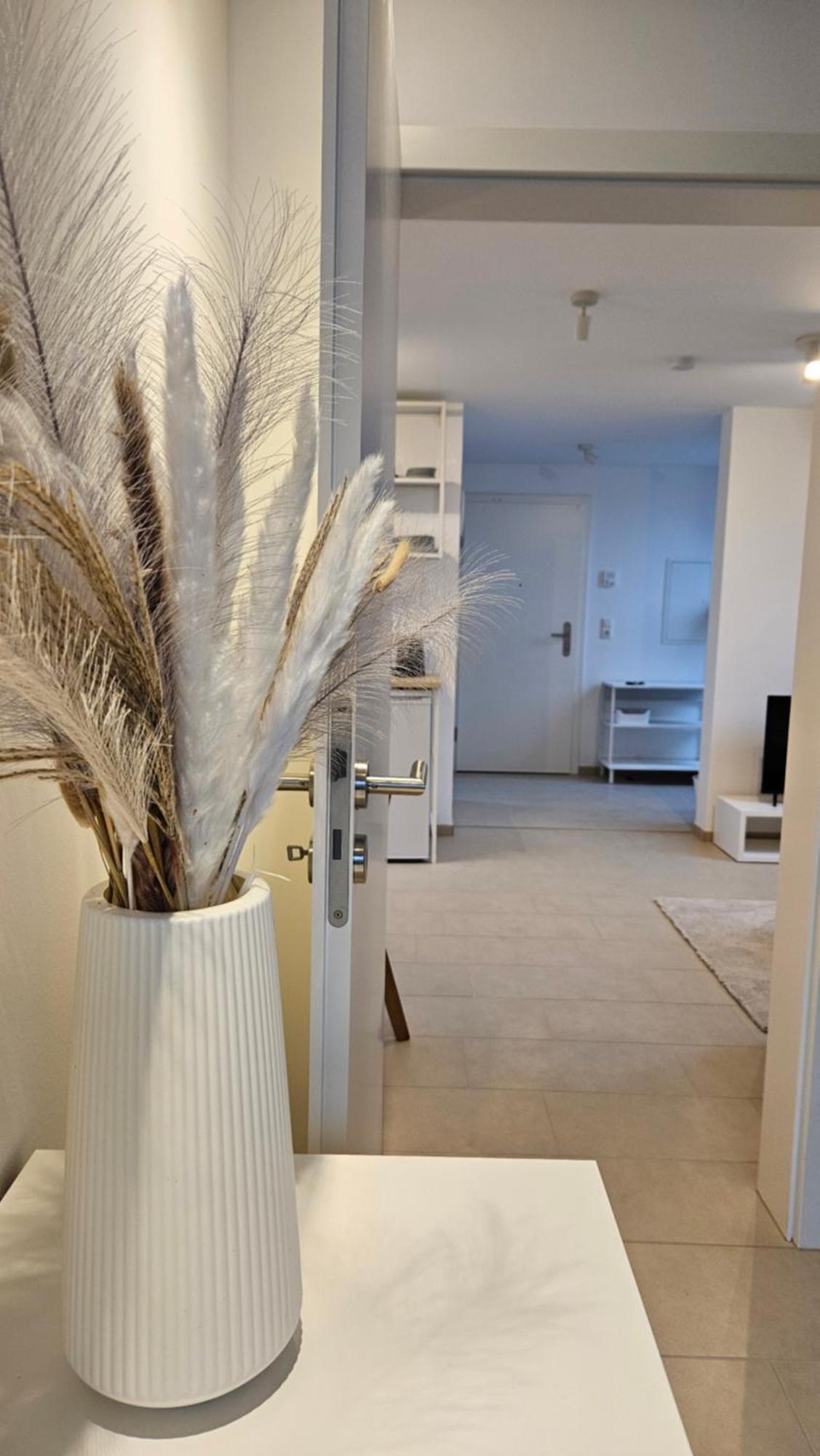 Apartment As5 Two Bamberg - Modern In Ruhiger Lage *